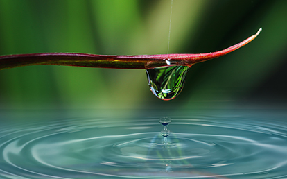 Ein Wassertropfen an einem Blatt 
